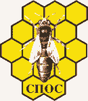 profili-file-5fc8b18ebf63e6282349065fc8b18ebf64d5.27744452.gif