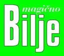profili-file-5fc8b1c586d3c11424991575fc8b1c586d497.40931448.jpg