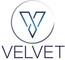 LOGO novi 2019 VELVET bez AH.png