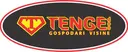 Tenge_logo_2021_1.png