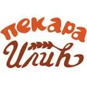 logo.pi.jpg