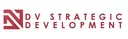 dv strategic logo-13.png