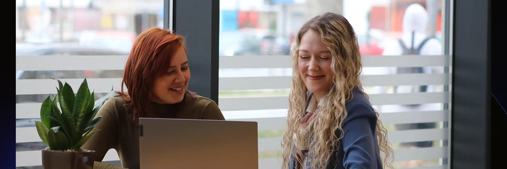 OIP Insurtech cover photo