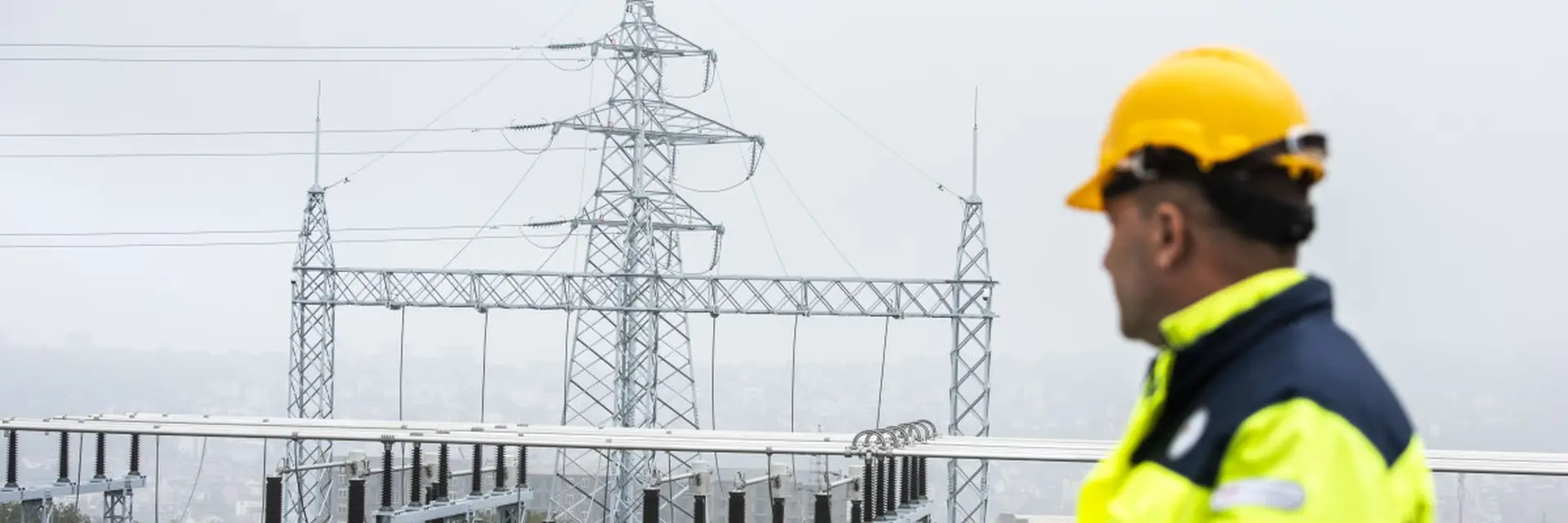 Elektromreža Srbije a.d. cover photo
