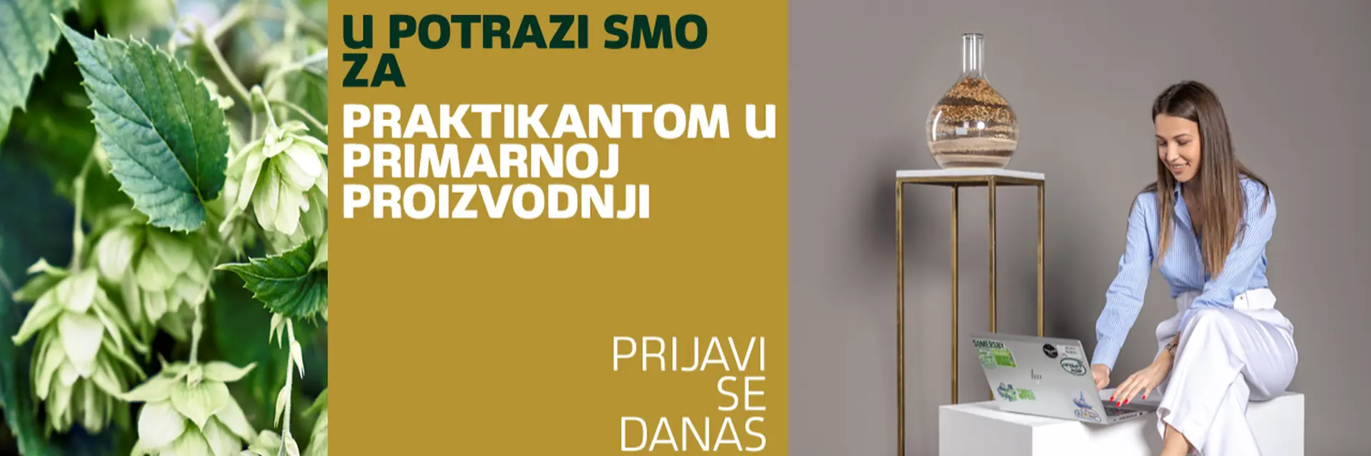 Carlsberg Srbija d.o.o. cover photo