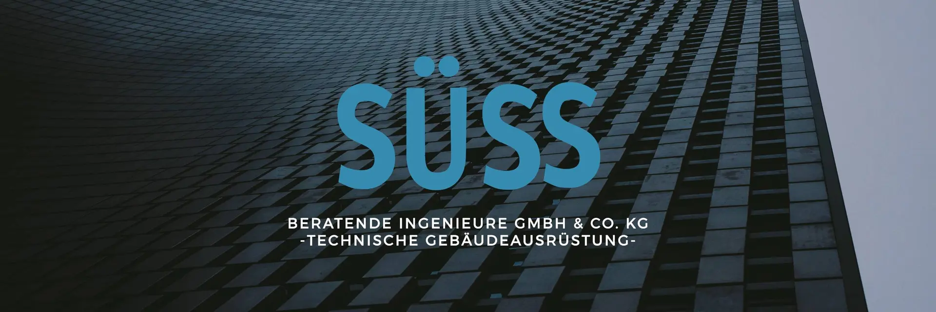 Suess Consulting 021 cover photo
