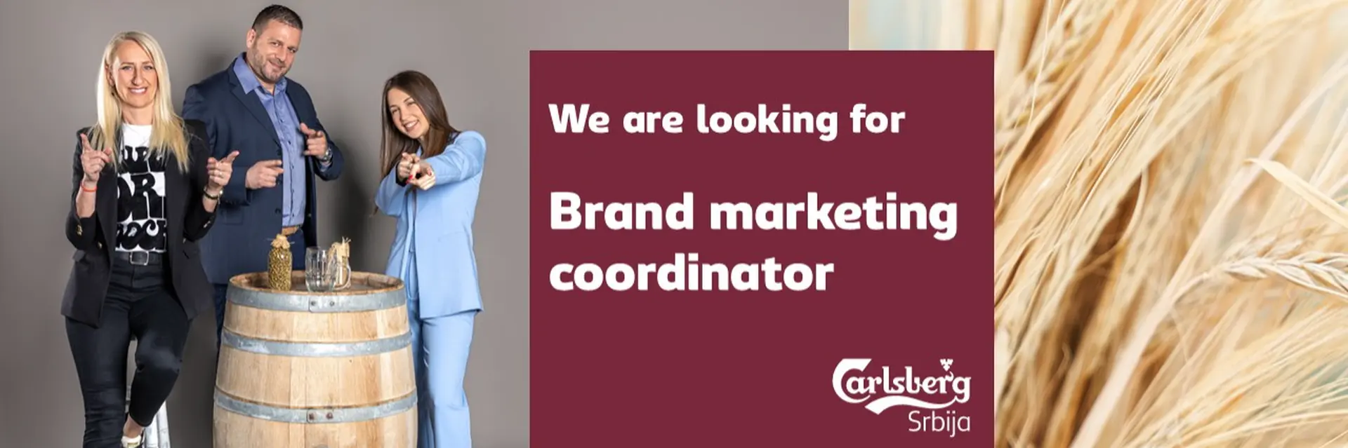 Carlsberg Srbija d.o.o. cover photo