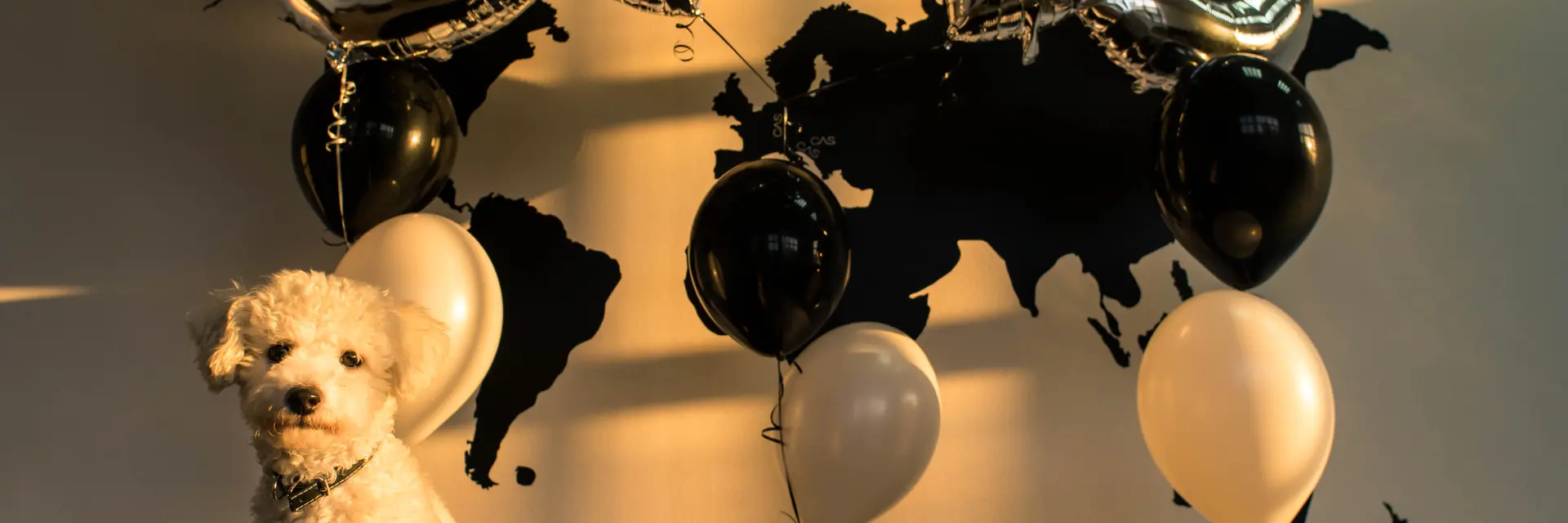 Clean Air Solution cover photo