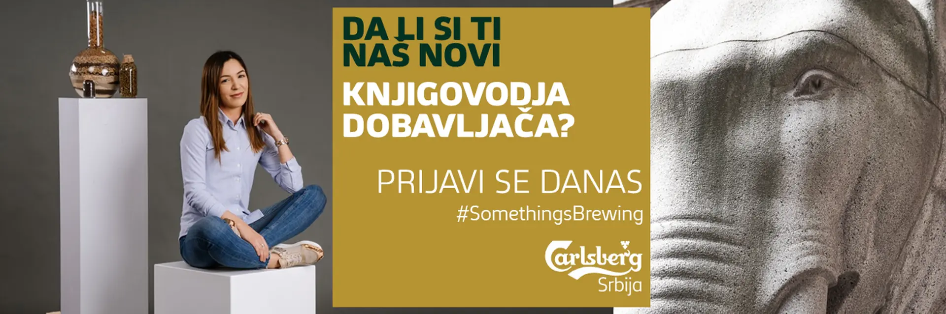 Carlsberg Srbija d.o.o. cover photo