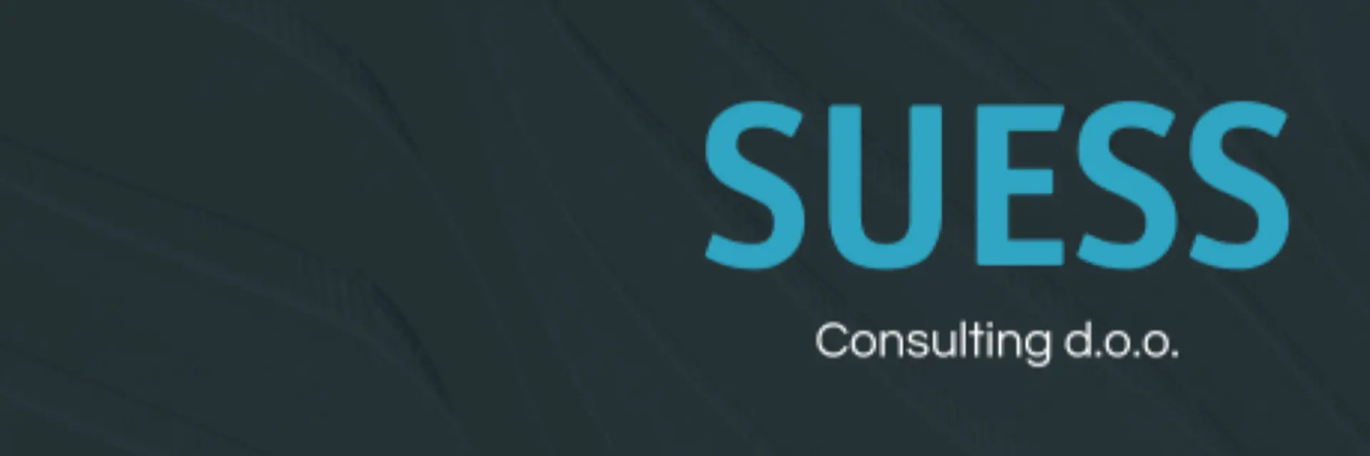 Suess Consulting 021 cover photo