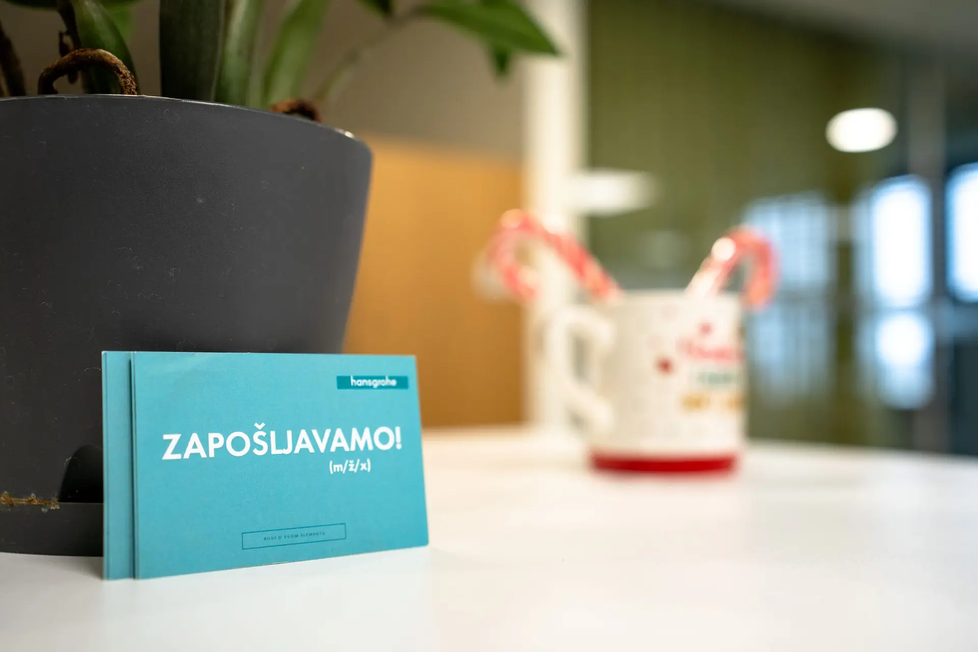 Hansgrohe d.o.o.