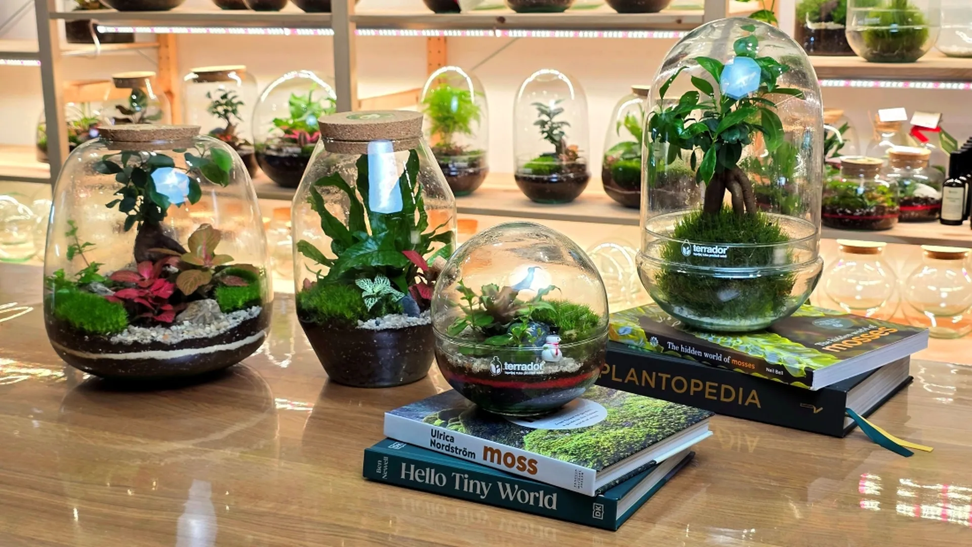 Mesto na kome uprljaš ruke, ali očistiš misli – terarijumi koji nikog ne ostavljaju ravnodušnim