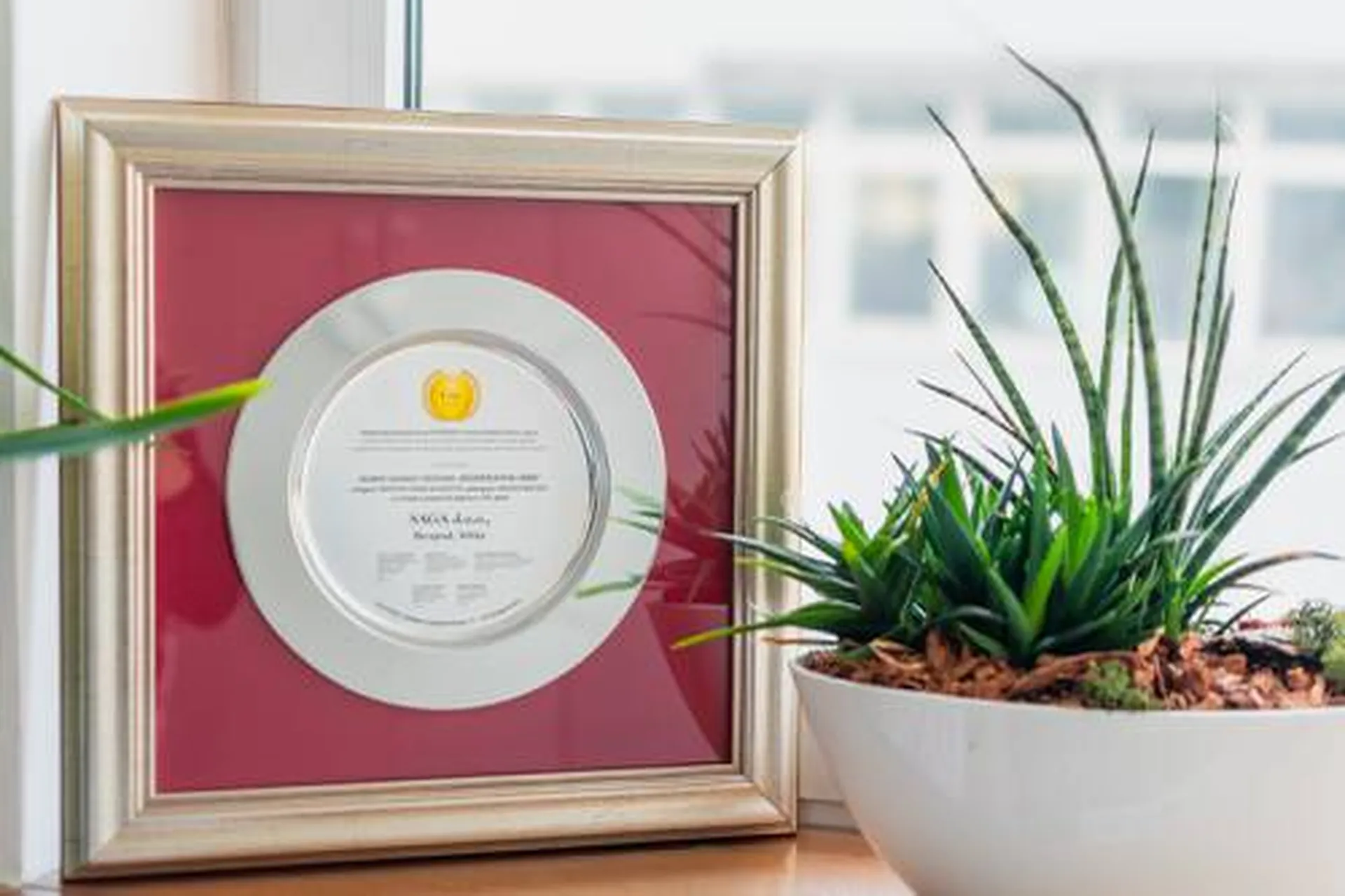 Srebrna nagrada za regionalnog ESG lidera