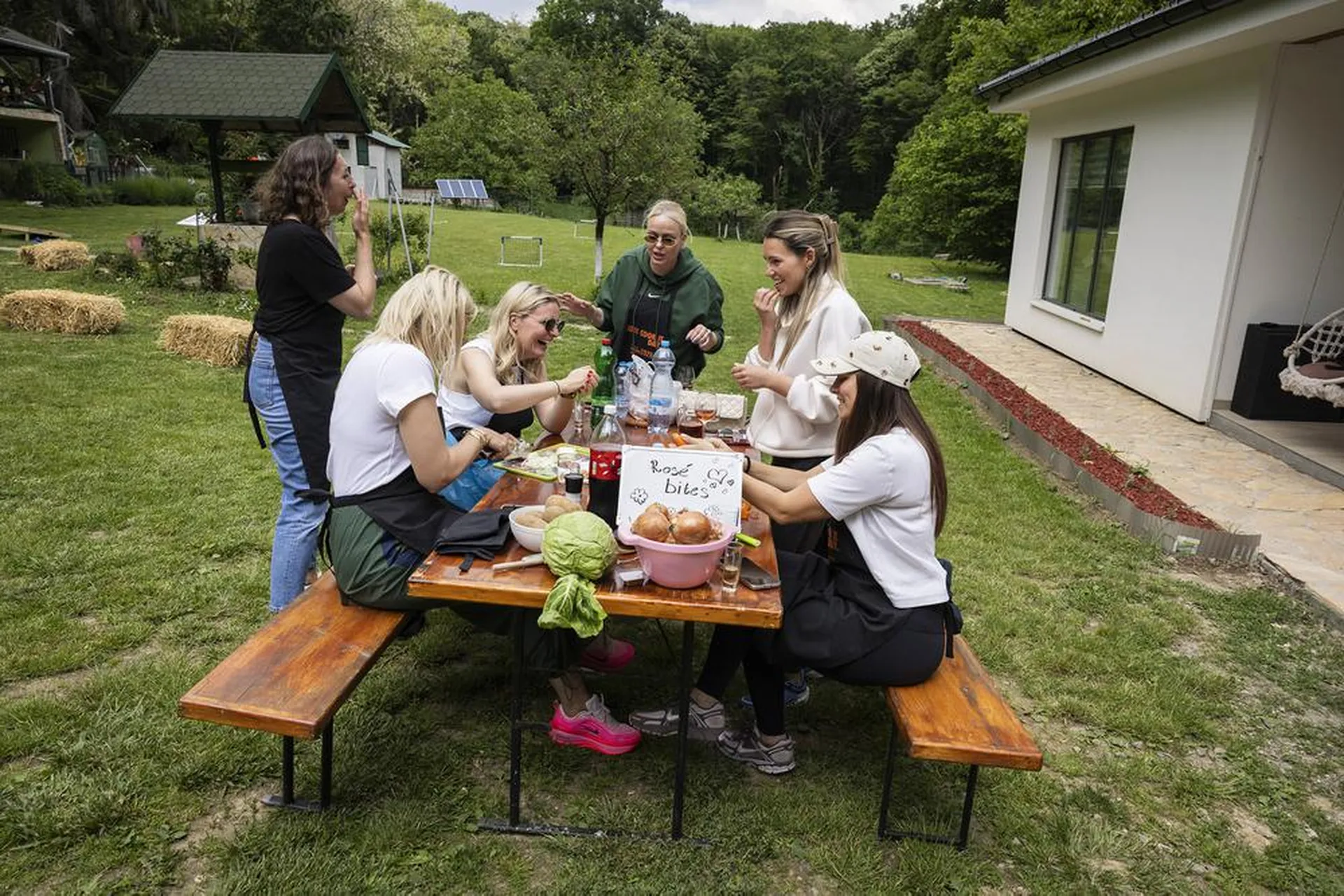 Timbilding 2026 - Tri zajednička dana na Fruškoj gori