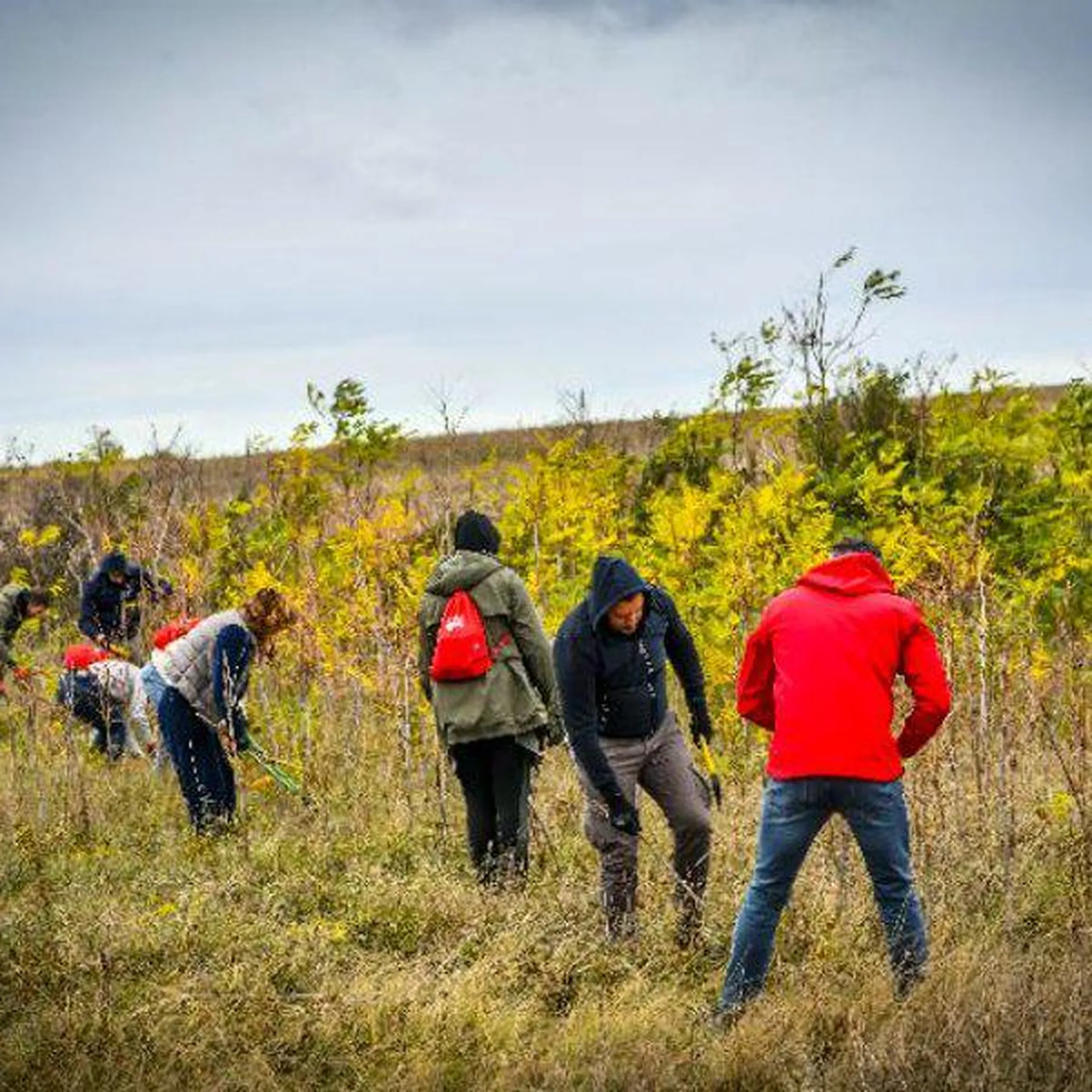 Zaposleni kompanije Atlantic Grupa u akciji „Volontiraj za prirodu“