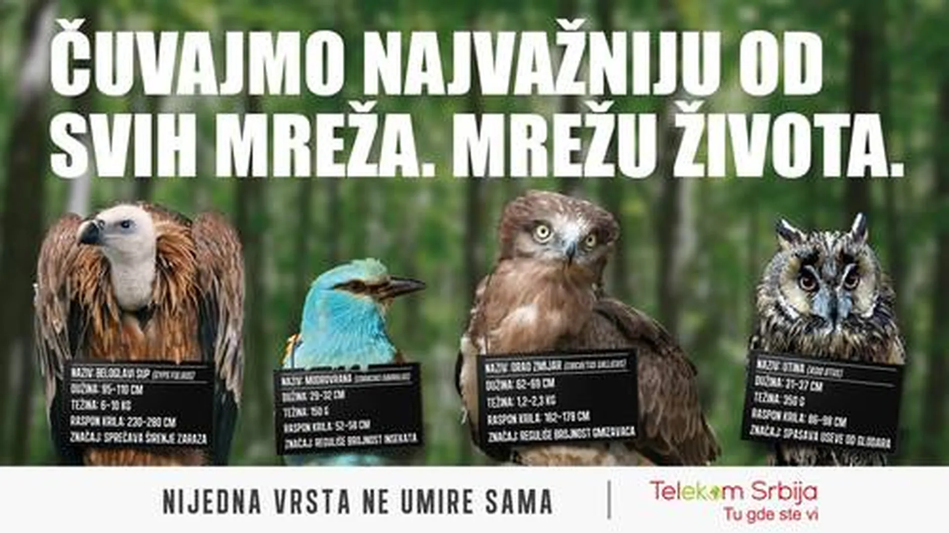 Nijedna vrsta ne umire sama