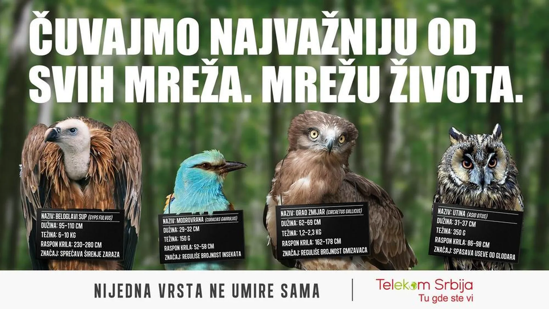 Nijedna vrsta ne umire sama