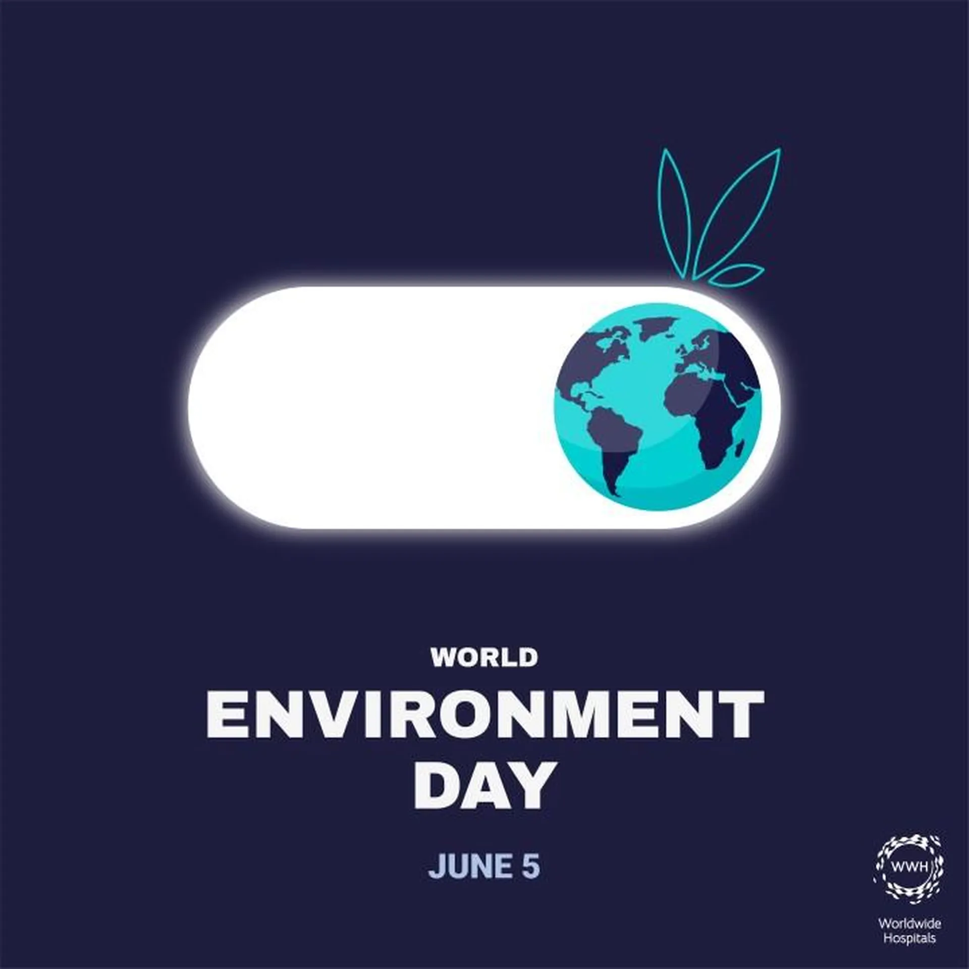 Environment Day 2024