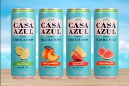 CASA AZUL