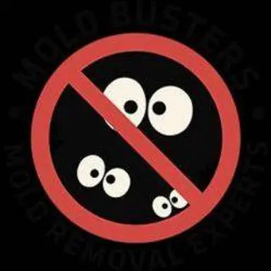 Mold Busters