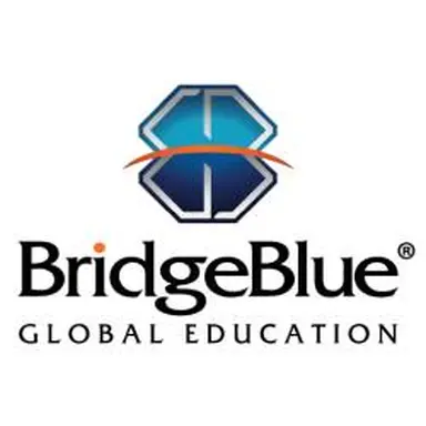 Bridge Blue Consultancy