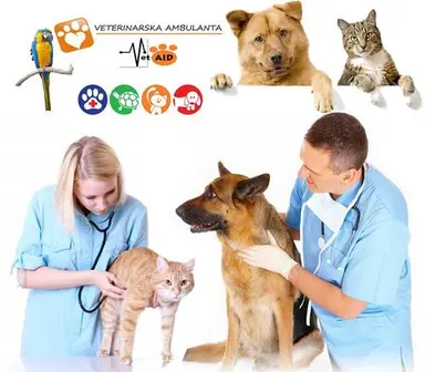 Veterinarska ambulanta "VetAID" Kruševac