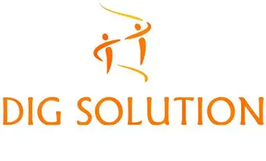 DIG Solution