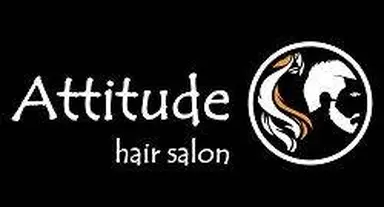 Attitude