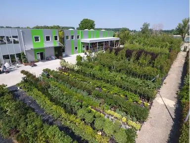 Urban Garden