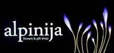 Cvecara Alpinija