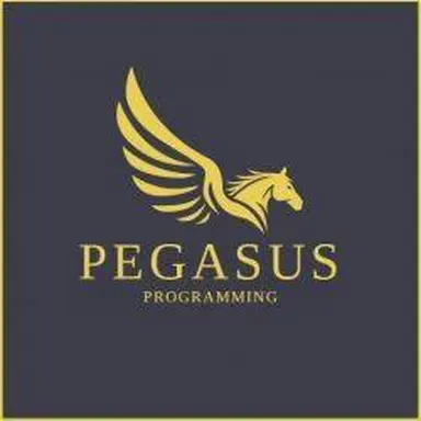 Pegasus Programming