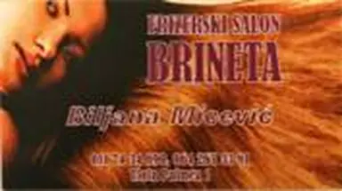 Frizerski salon Brineta MB