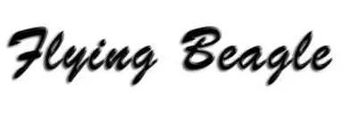 Flying Beagle Limited