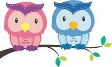 Predškolska ustanova Sovina kućica