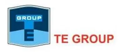 TE Group