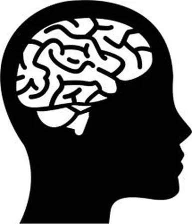 Brainrs