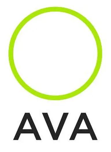 AVA Information Systems