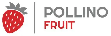 Pollino fruit doo