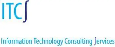 Information Technology Consulting Services