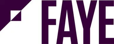 Faye Business Systems Group