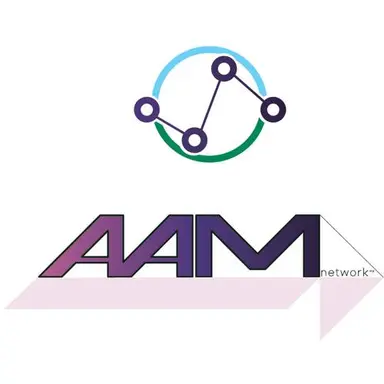 AAM NETWORK INC