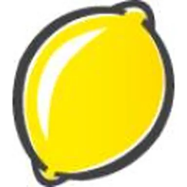 smart lemon GmbH & Co. KG