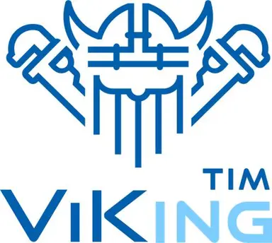 Viking Tim d.o.o.