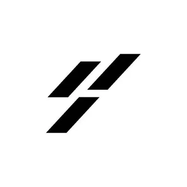 SILICON YOUTH LLC