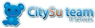 Citysu Team