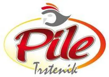 PUTR Pile