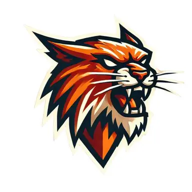 AngryLynx doo Novi Sad