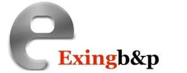 Ex ing B&P d.o.o. Beograd