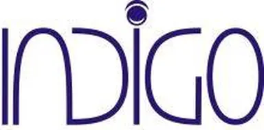 Grupa za decu i mlade "Indigo"