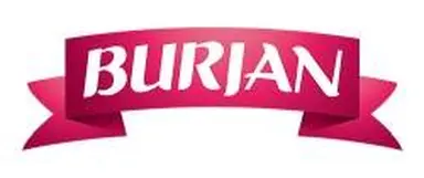 Burjan SZMR